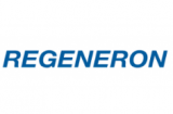 IBT backed Regeneron teams up with Bluebird on T cell cancer therapies